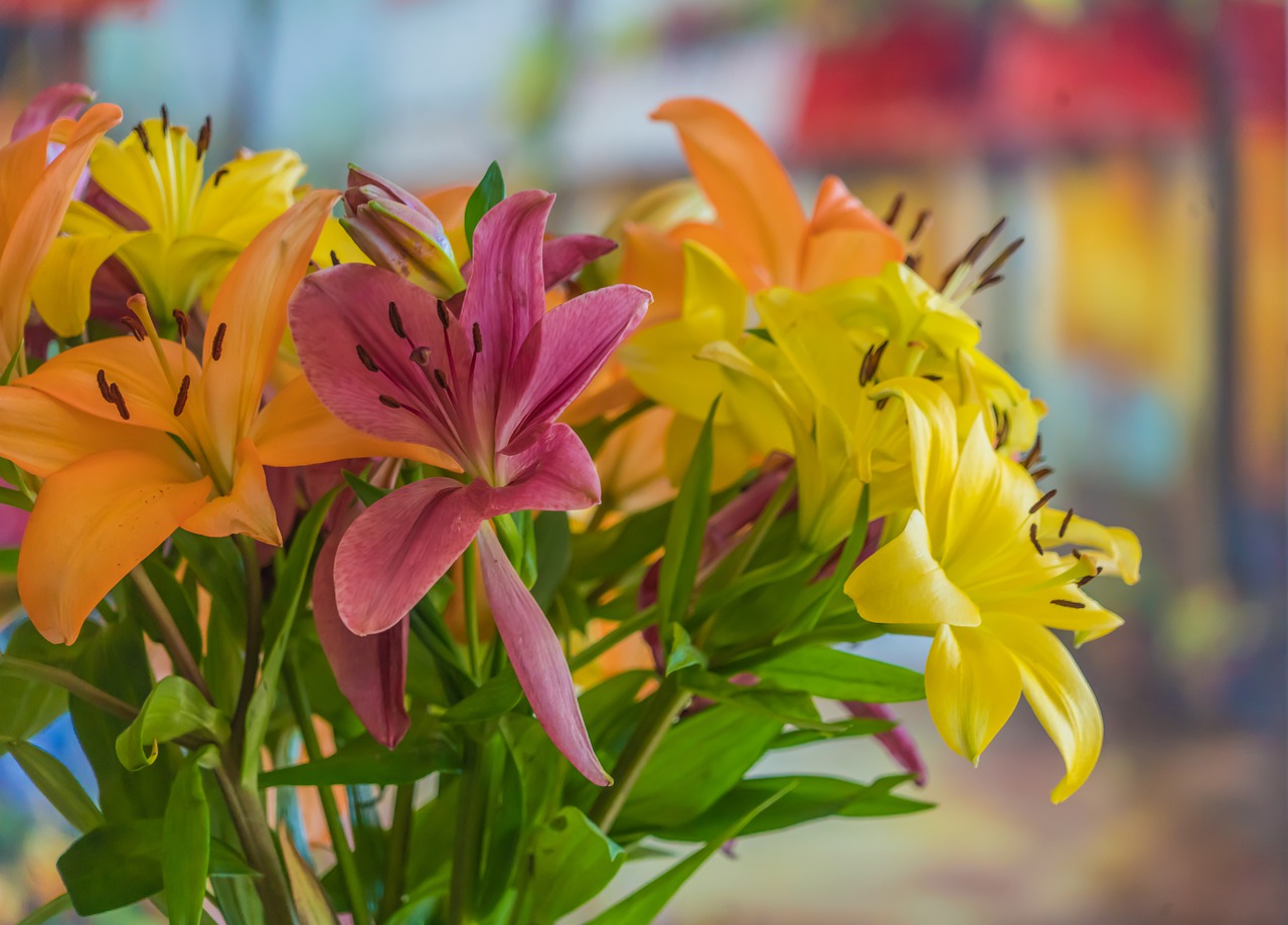 Zu prachtvollen Blumensträußen gebunden